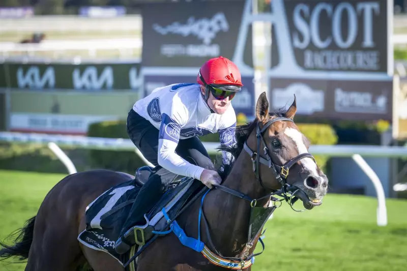 Jokers Grin Draws Gate Six, Overpass Three in Winterbottom Stakes