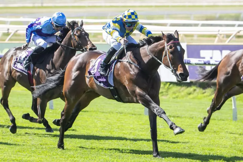 Joker's Grin Stuns with First-Up Prince of Wales Victory, Launches Pinnacles Campaign in Style