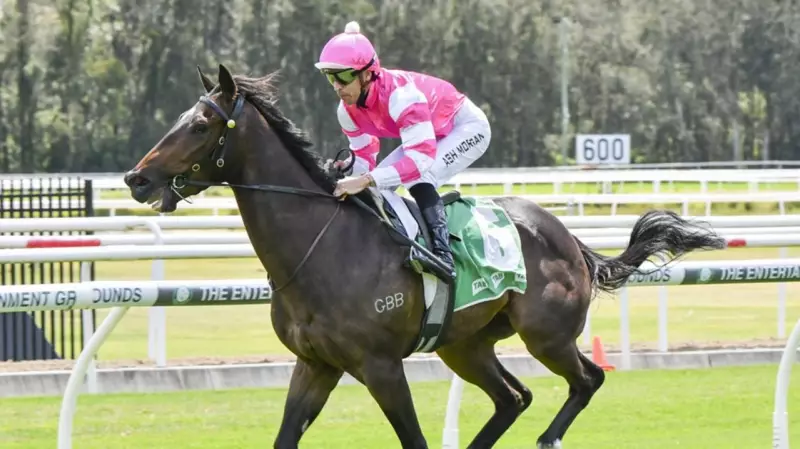 Just Response Eyes Hawkesbury Double After Gosford Victory