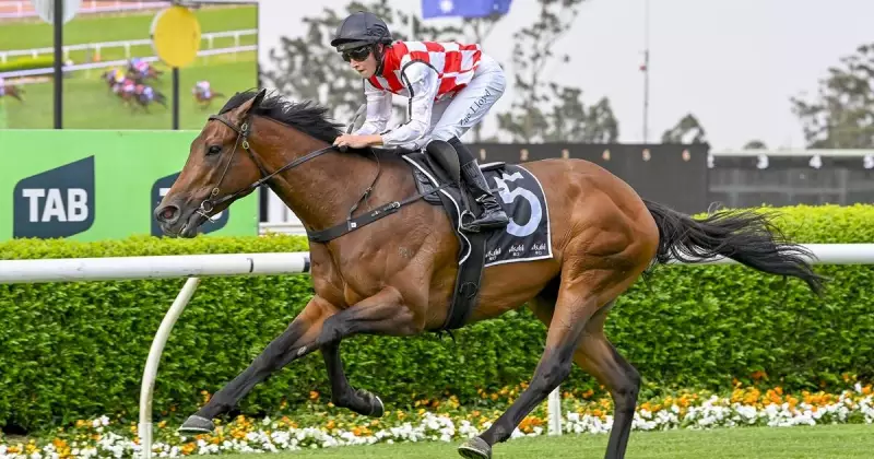 Kembla Grange Racing Tips: Write Your Own, Weeping Woman & Hurstville Zagreb to Watch