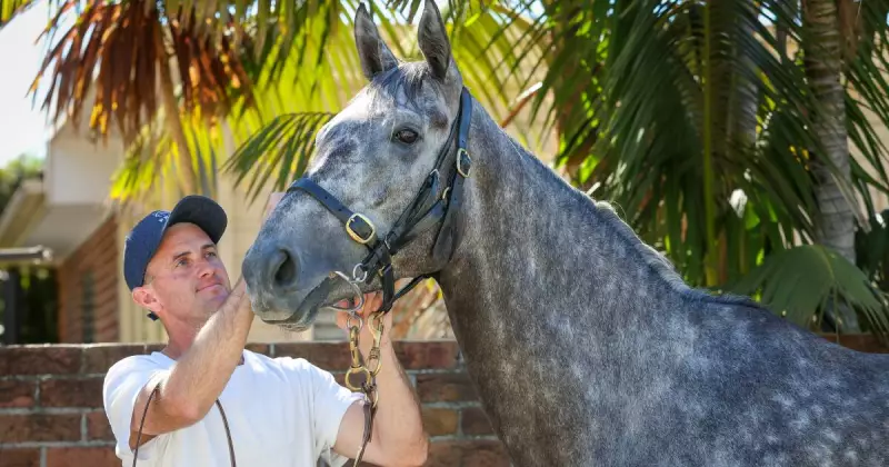 Kembla Grange's $1m The Gong Field Set as Local Hope Withdrawn