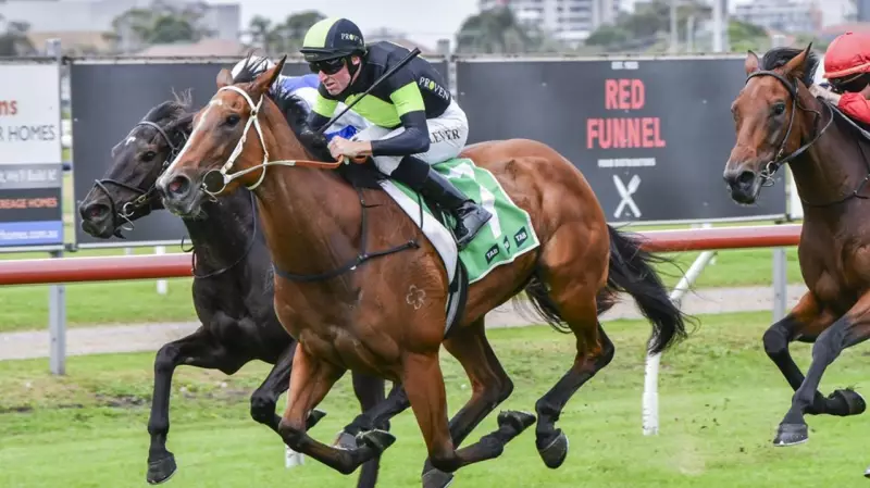 Kerry Parker Aims for 150th Kembla Win with Promising Mare Elivina