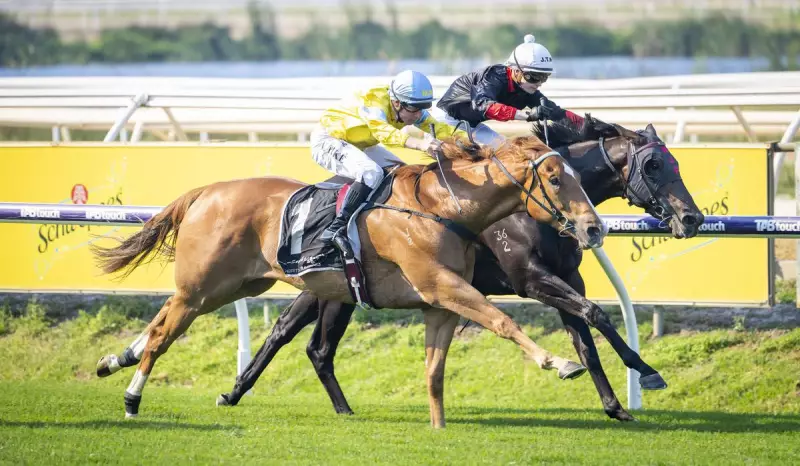 King Of Light Surges to Favouritism for WA Guineas After Fairetha Stakes Win