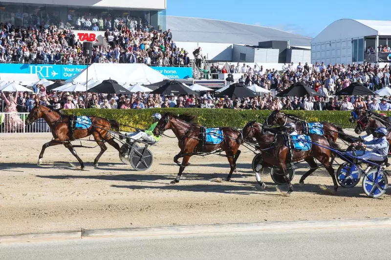Kingman Wins NZ Cup: Aussie Pacer Stuns in $150,000 Race