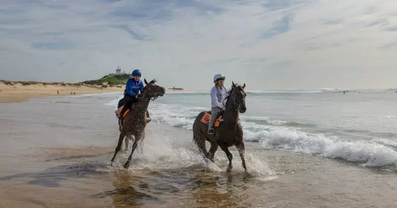 Kris Lees Targets $1 Million Hunter Victory on Home Turf at Newcastle