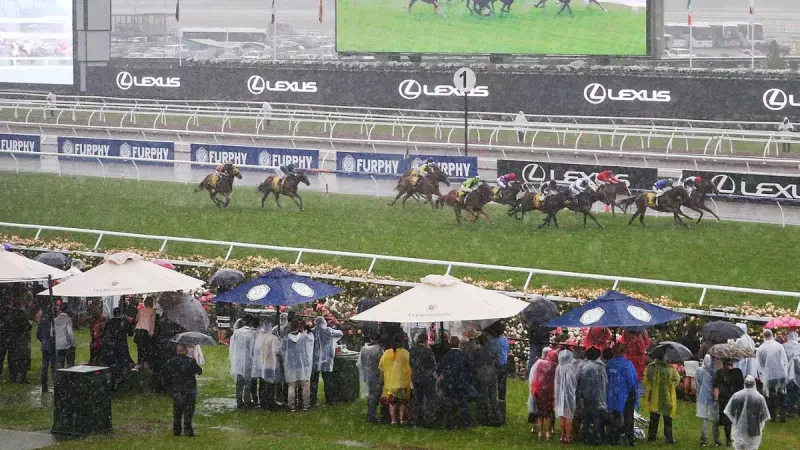 Melbourne Cup Chaos: Al Riffa Crowned Favourite as Wild Weather Threatens to Upend Australia's Greatest Race