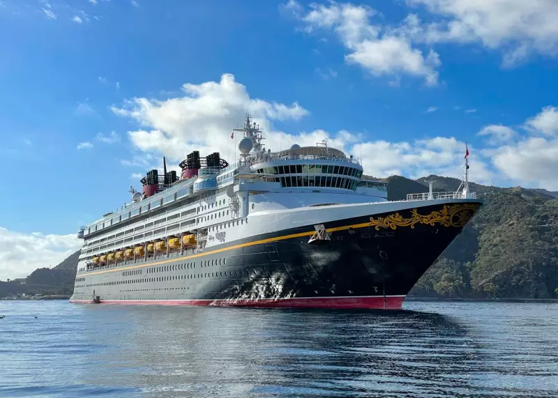 Melbourne Man, 73, Lost at Sea in Disney Cruise Tragedy to Auckland