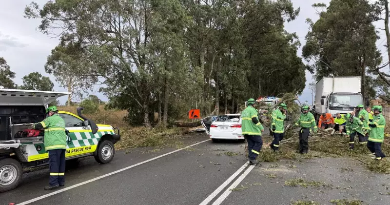 Mother and Baby Survive Terrifying Tree Crash During NSW Storm
