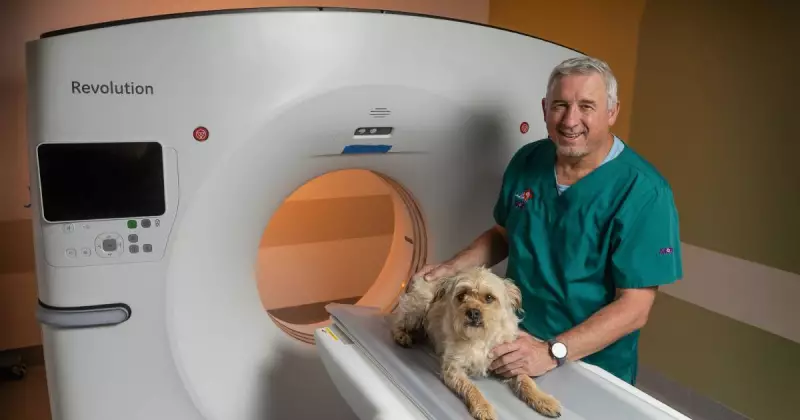 Newcastle's 24-Hour Vet ER Triples in Size to Meet Soaring Demand