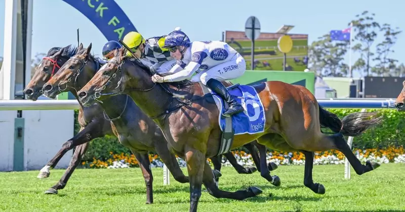 Nitro faces Rosehill challenge after impressive debut win