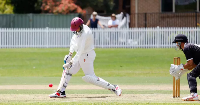 NSW Over-60s Cricket Title Hopes Dashed in Wollongong Homecoming