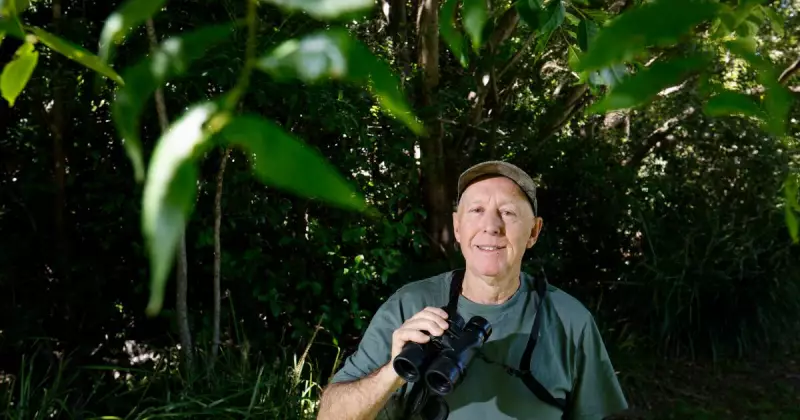 Pacific Koel's Noisy Spring Call Disrupts Wollongong Nights