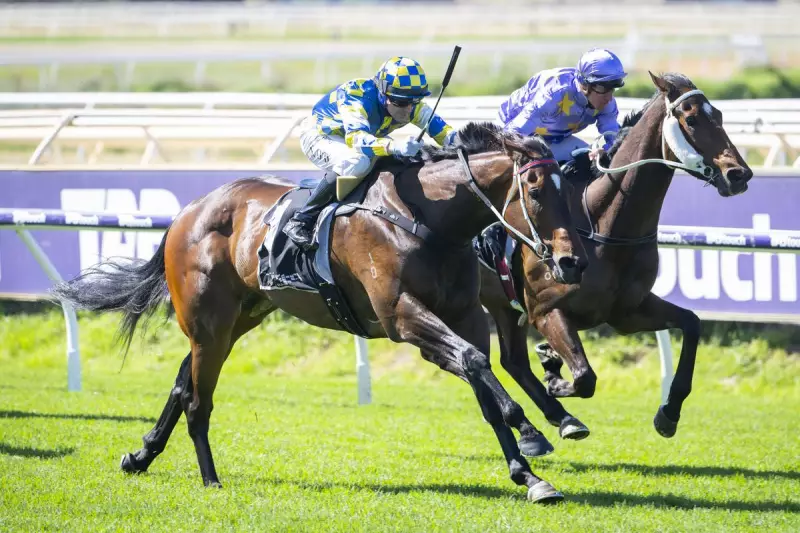 Pat Carbery's Tumultuous Journey to Winterbottom Stakes Glory with Jokers Grin