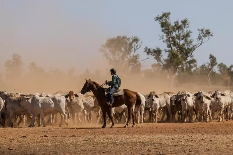 Perth Photographer Contrasts American and Australian Cowboys in Exhibition