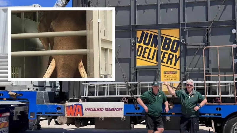 Perth Zoo's Final Elephant Begins Epic Journey to New South Australian Home