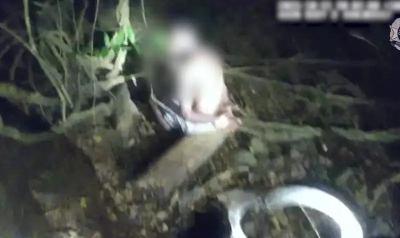 Police Dog Duke Sniffs Out Alleged Car Thief in Cairns Crime Spree | Cairns Post