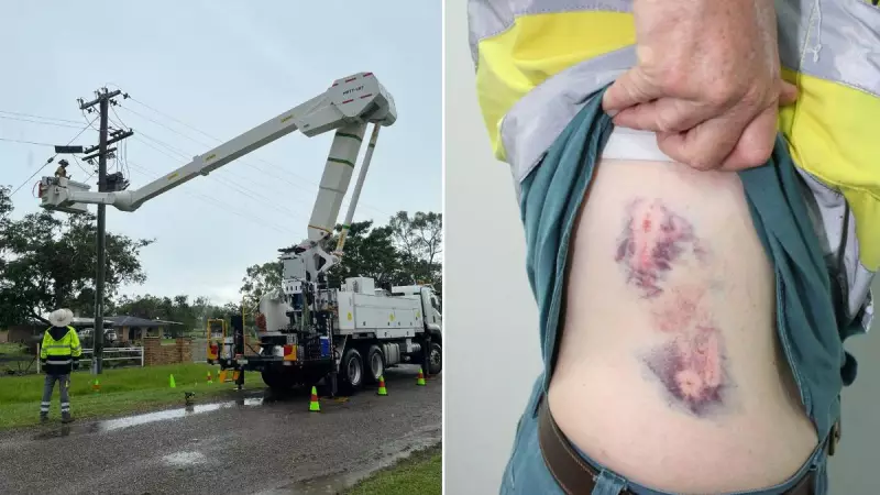 Queensland Electricity Workers Face 300 Threats from Pets and People