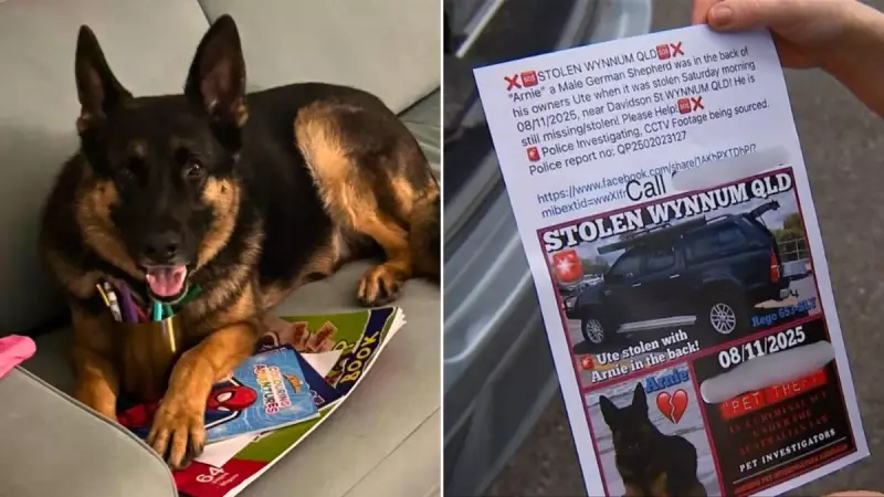 Queensland man charged after dog dies in fabricated car theft