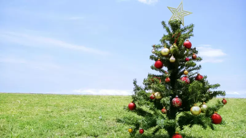 Real vs Fake: The Christmas Tree Debate Dividing Australian Families