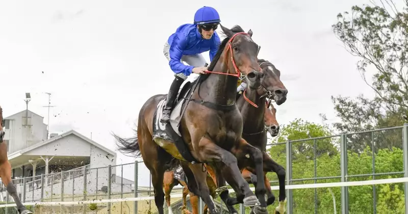 Rosehill Racing Preview: Expert Tips & Form Guide for Saturday's Thrilling Meet