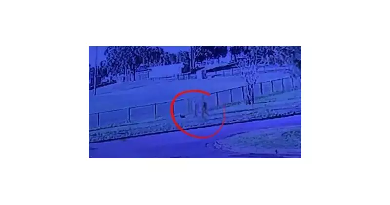 RSPCA Closes Investigation Into Distressing Greyhound Incident at Kurri Kurri Track