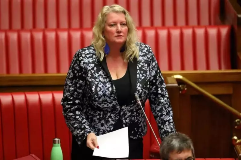 SA Lawmaker Demands Review of Weapons Exports to Israel