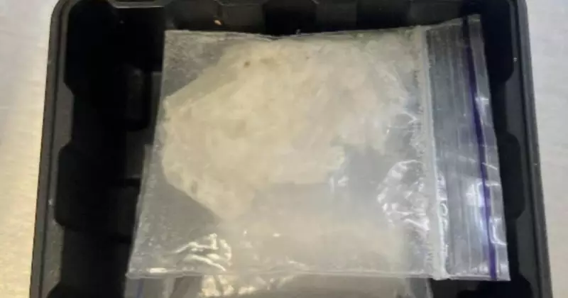 Serial Disqualified Driver's Police Chase Ends in Dramatic Ute Crash in East Maitland