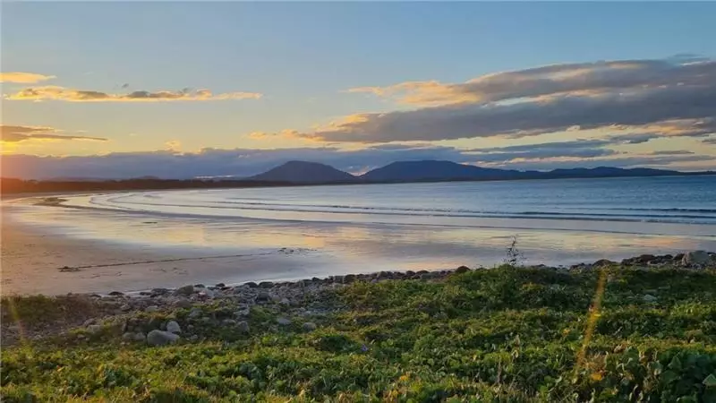 Shark Attack Tragedy: Woman Dies, Man Critically Injured at NSW Beach