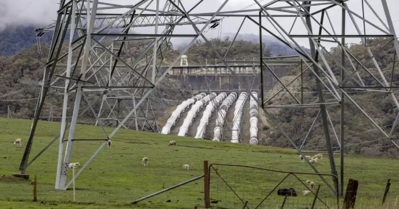 Snowy 2.0's $20B Cost Makes It Unviable for Tomago Smelter