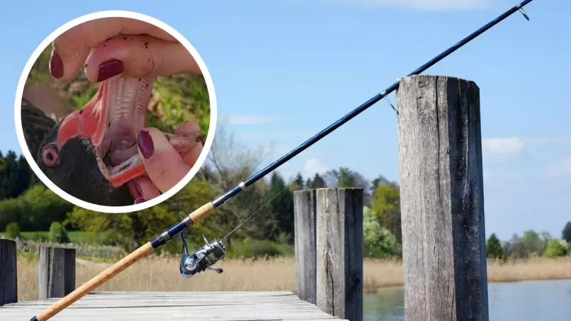 Stirling Council Proposes Sweeping Fishing Ban Across 16 Lakes