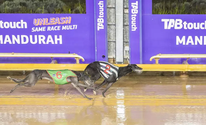 Sunshine Coast Surf Brand The Sun Makes Waves With Stunning Revenue Surge