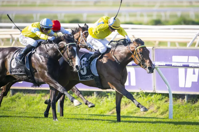 Super Smink Clinches Lee Steere Stakes in Dan Morton's Perfect Quinella