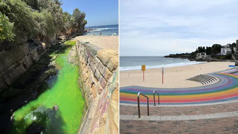Sydney's Coogee Beach Turns Fluorescent Green, Council Responds