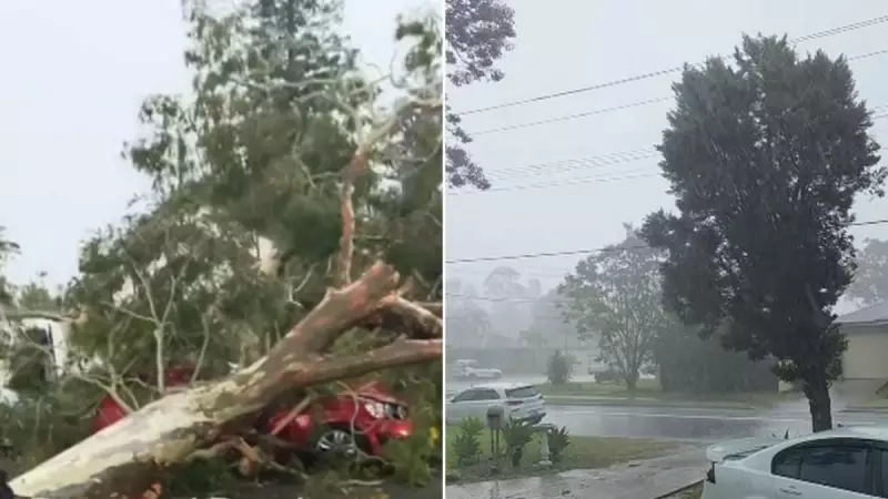 Sydney's Spring Fury: City Reels as Destructive Storm Unleashes Havoc