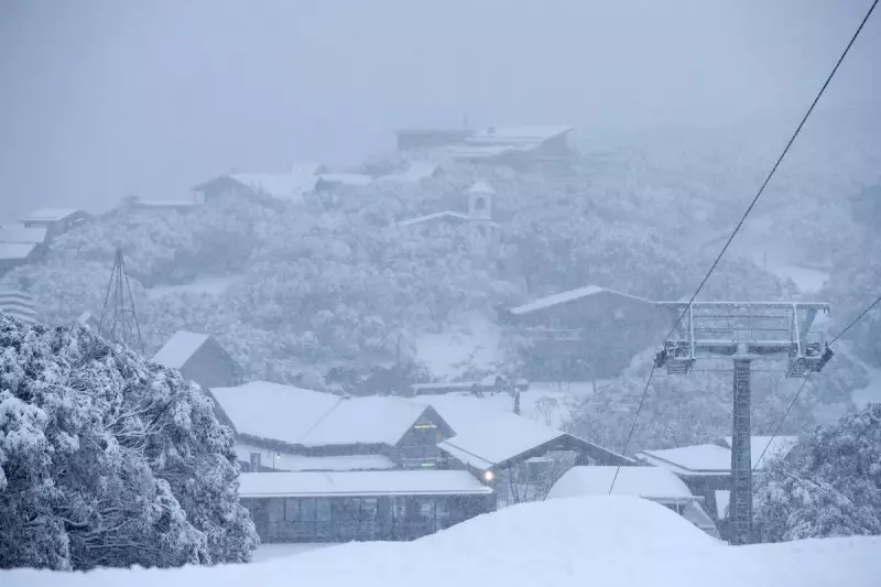 Teen Hiker's Terrifying Blizzard Ordeal on Mount Buller: Dramatic Alpine Rescue