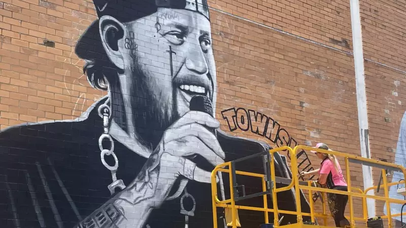 Townsville's Laneways Transformed: Giant Jelly Roll Mural Brings Burst of Colour to City Heart