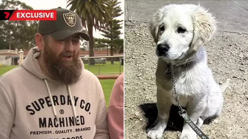 Tragic Lightning Strike Claims Beloved Golden Retriever Puppy in Gawler - Pet Safety Alert