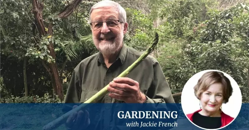 Unlock the Garden Gold: Jackie French's Expert Guide to Growing Perfect Asparagus