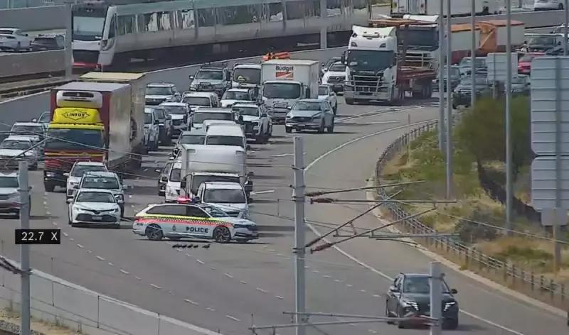 WA Police Halt Tonkin Highway Traffic to Rescue Waddling Duck Family