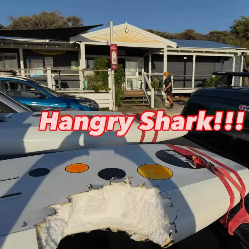 WA Surfer Recounts Terrifying Shark Attack at Prevelly Beach