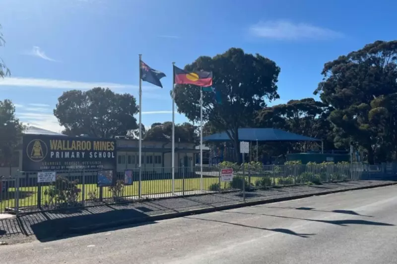 Wallaroo Principal Removed Amid Serious Allegations - Investigation Underway