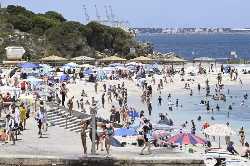 WA's Summer Forecast: Hotter Days Ahead After Wet Winter