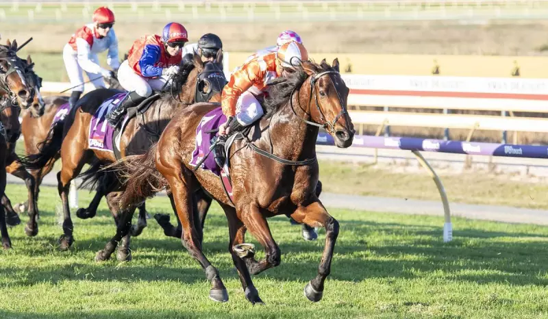 Western Empire Defies Age: Veteran Gelding Primed for Lee Steere Stakes Victory at Ascot
