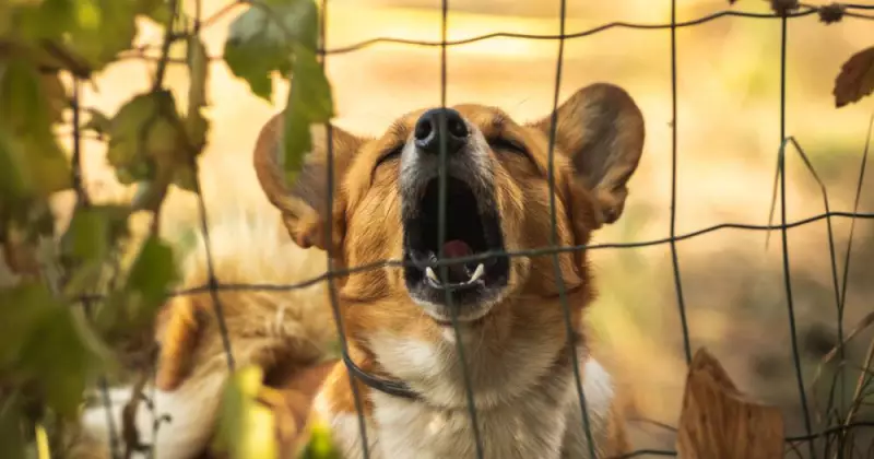 What's the Loudest Possible Sound? From AC/DC to Krakatoa