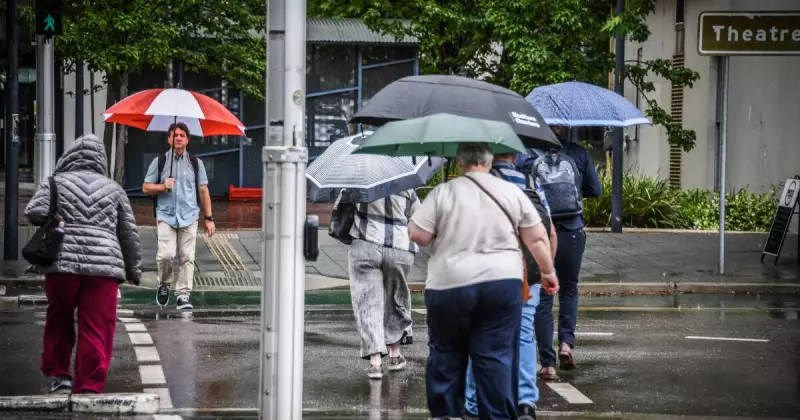Wild Winds Wreak Havoc in ACT: 80+ Trees Down, Widespread Power Outages