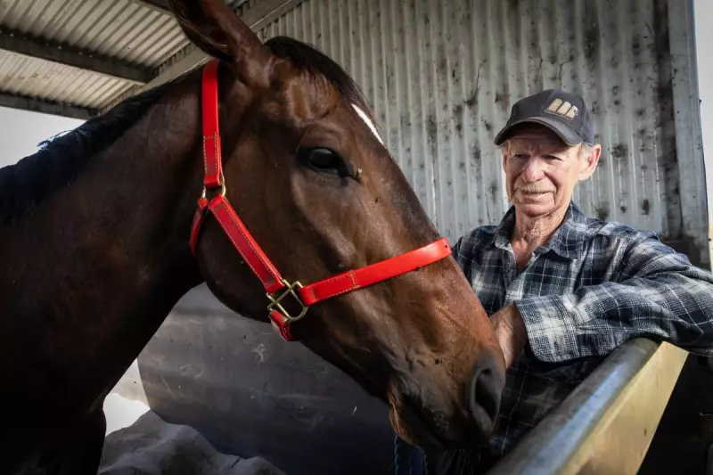 Winterbottom Stakes 2025: Jokers Grin Overtakes Overpass as Favourite