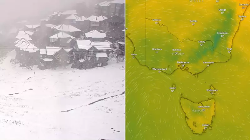 Winter's Surprise Return: Hotham Gets Unseasonal Snow Dump in Australian Alps