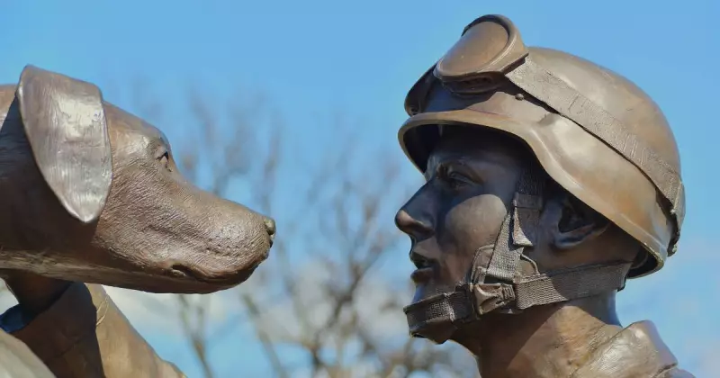 WWI's Dark Legacy: Beyond the Trenches of Gallipoli