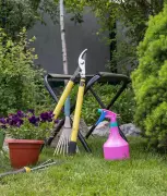 Anxiety Aunt: Navigating Neighbourly Help Without Overstepping