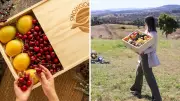 Aussies Flock to Fresh Fruit Hampers as Ultimate Christmas Gift